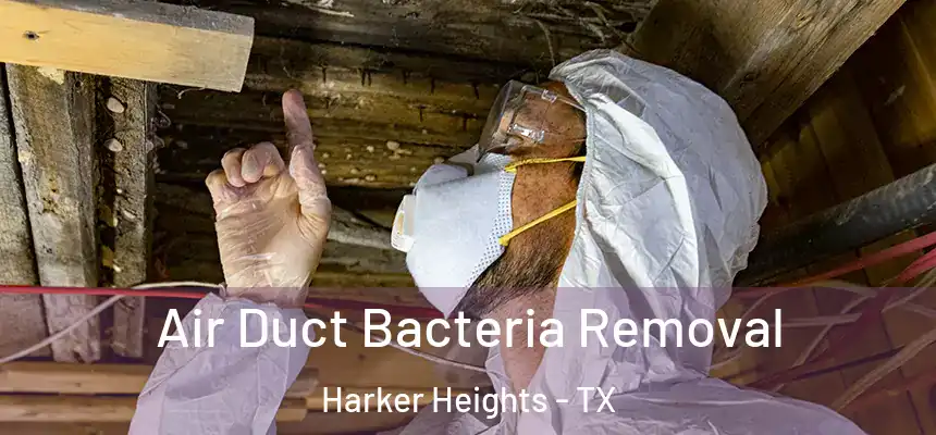  Air Duct Bacteria Removal Harker Heights - TX