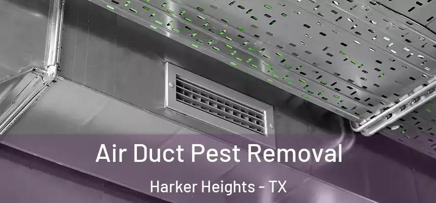 Air Duct Pest Removal Harker Heights - TX