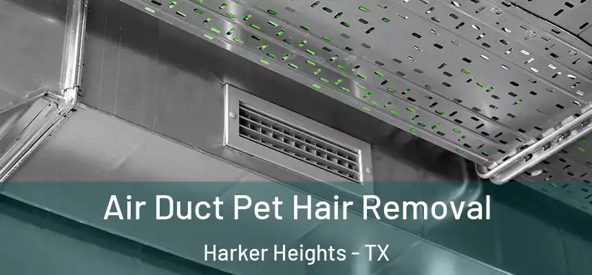 Air Duct Pet Hair Removal Harker Heights - TX