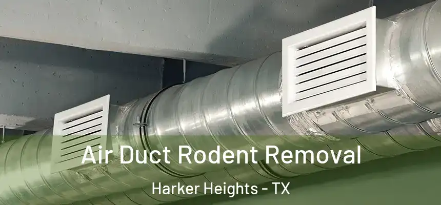 Air Duct Rodent Removal Harker Heights - TX