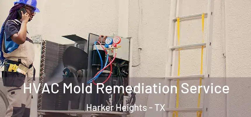 HVAC Mold Remediation Service Harker Heights - TX