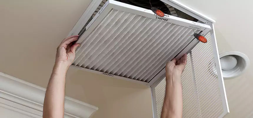 Preventive Cockroach-Proofing for Ducts in Harker Heights