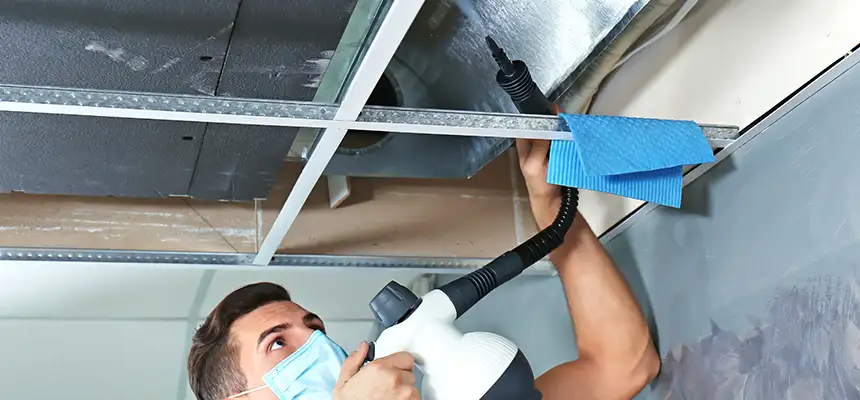 Our Air Duct Rodent Removal Services in Harker Heights, TX