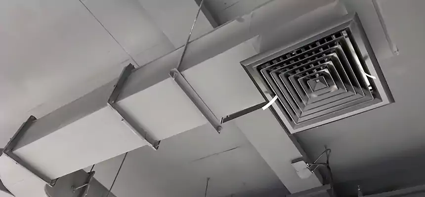 Restorative Allergy Relief Vent Cleaning – Coil, Blower & Housing Detail in Harker Heights