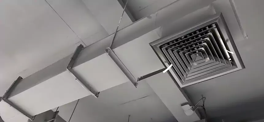 Our Pest Removal From Ducts Services in Harker Heights, TX