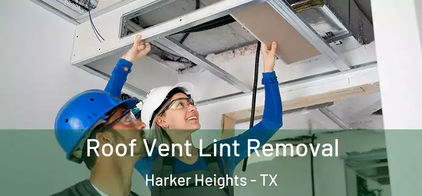 Roof Vent Lint Removal Harker Heights - TX