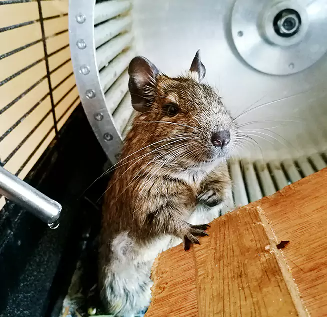 Why Homeowners & Businesses Trust Us Harker Heights, TX?