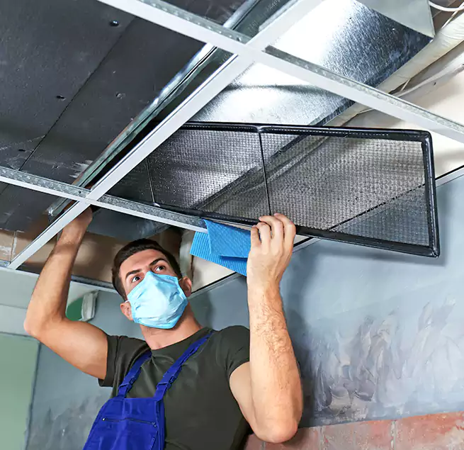 Why Homeowners Businesses Trust Us in Harker Heights, TX