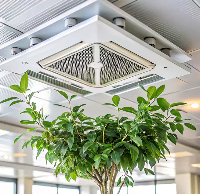 Why Homeowners & Businesses Trust Us in Harker Heights, TX?