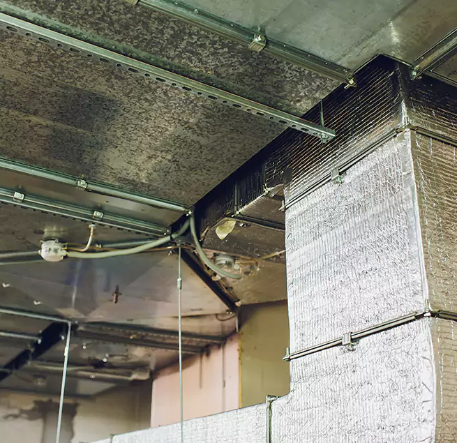 Why Homeowners & Businesses Trust Us in Harker Heights, TX?